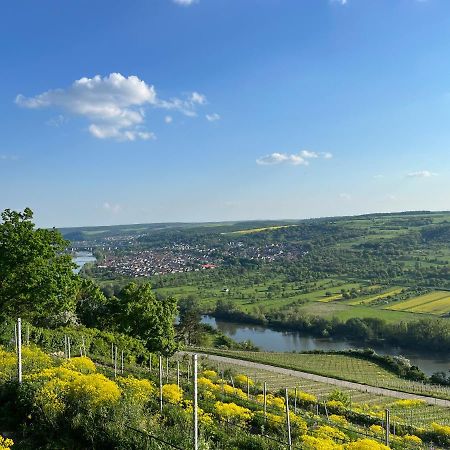 Maindrei - Schlafen Am Fluss Ξενοδοχείο Margetshöchheim Εξωτερικό φωτογραφία