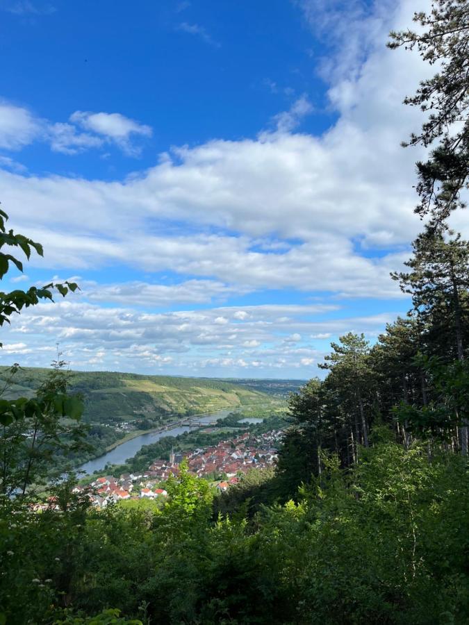 Maindrei - Schlafen Am Fluss Ξενοδοχείο Margetshöchheim Εξωτερικό φωτογραφία