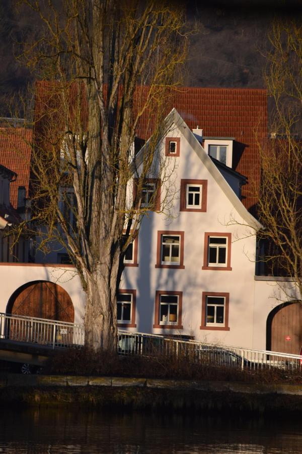 Maindrei - Schlafen Am Fluss Ξενοδοχείο Margetshöchheim Εξωτερικό φωτογραφία